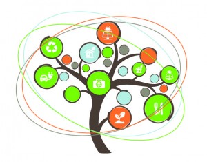 obiettivogreen1